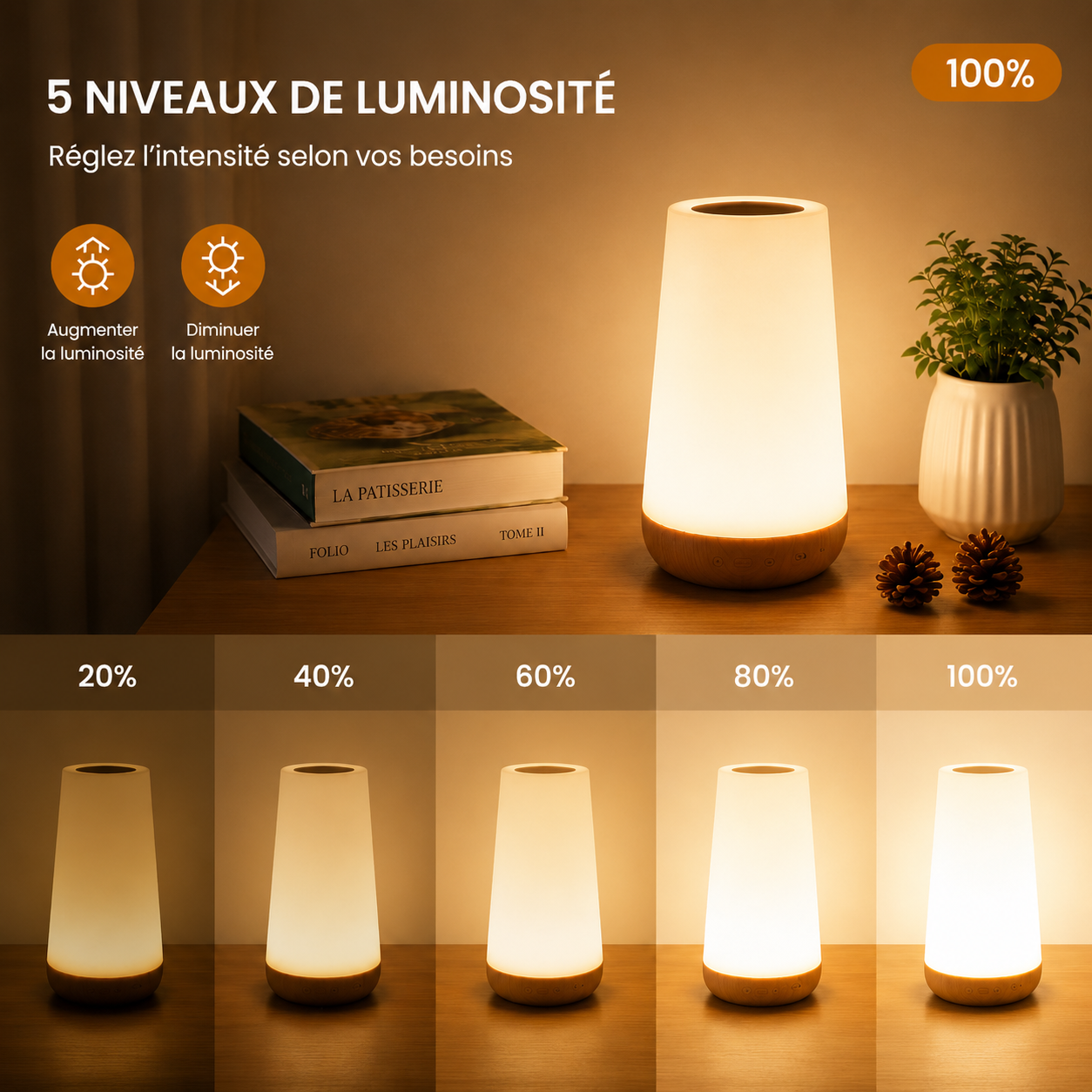 Lampe de Luminothérapie Compacte